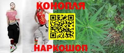 стаф Кинель