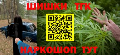 стаф Кинель