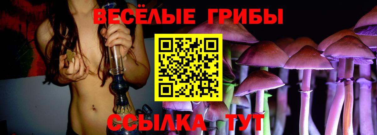 Буйнакск  Галлюциногенные грибы прущие грибы  Вход с VPN  Галлюциногенные грибы прущие грибы 
